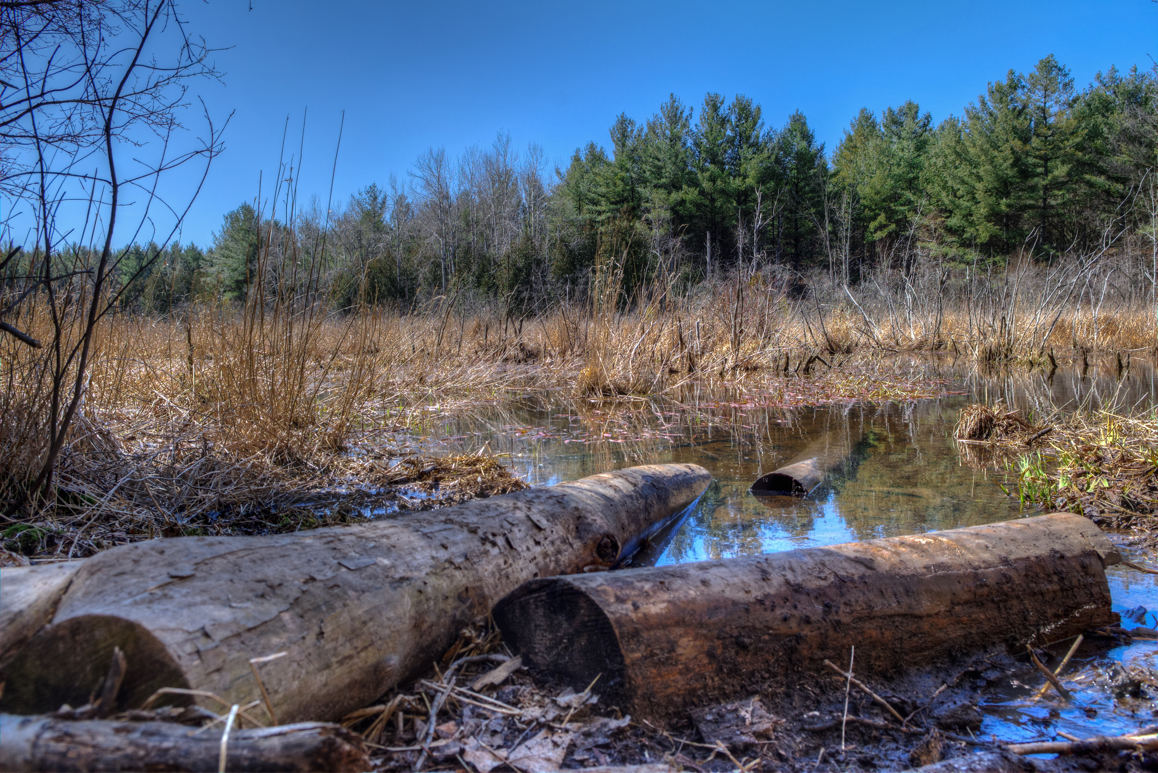 A portion of Darrow Brook